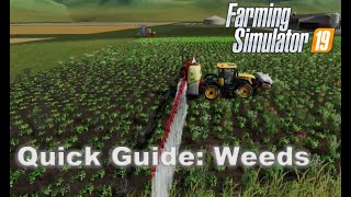 QUICK GUIDE Weeds  FS19  Farming Simulator 19 [upl. by Koller]