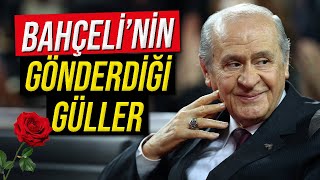 BAHÇELİNİN GÖNDERDİĞİ GÜLLER DİKENLİ MİYDİ [upl. by Elyrad941]