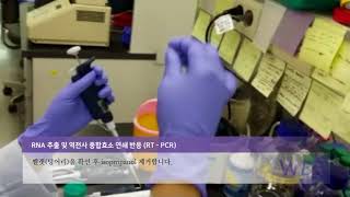 RNA 추출 및 역전사 중합효소 연쇄 반응RT PCR [upl. by Hildie533]