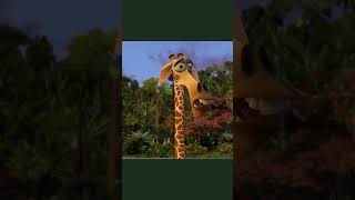 One of my songs was featured in “Madagascar” and it was NOT Mambo No 5 [upl. by Idnak923]