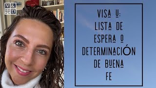 Noticias ¿Como saber si mi caso está en lista de espera o tengo determinación de buena fe visau [upl. by Anirret]