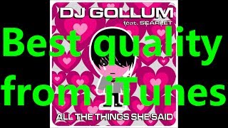 DJ Gollum  All the Things She Said feat Scarlet Radio Mix Lyrics [upl. by Broek666]