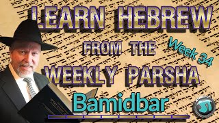 Learn Hebrew from the Weekly Parsha Week 33 Bamidbar  PLUS Commentary  Gavriel Sanders  1796 [upl. by Nageek]