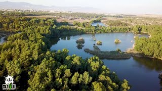 ATHALASSA NATIONAL FOREST  NICOSIA  CYPRUS [upl. by Eneleh104]