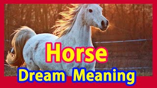 dream mean Horse Dream Why Horses Come in Dreams Perfect Interpretation of Horse Dreams [upl. by Ditter]