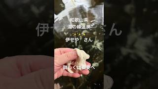 【和歌山県 湯の峰温泉伊せや 宿泊 日帰り】巨大な湯の花にビックリ😳姫乃湯 湯の峰温泉を満喫するため宿泊したい宿 源泉掛け流し秘湯温泉湯治和歌山県湯の峰温泉日帰り温泉 [upl. by Val]