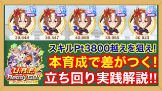 【UAF解説】本育成は絶対にここで差がつく！新シナリオ序盤～終盤までを実戦形式で徹底解説‼【ウマ娘最強ウマ娘育成】 [upl. by Aleira]