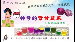 三年级 KSSR Semakan 科学 单元八 酸与碱【测试物质的天然材料】【应用紫甘蓝菜进行物质测试】活动6 [upl. by Flessel435]