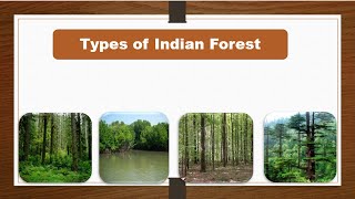 Types of forest in India for kids Learn forest types in India [upl. by Tormoria934]