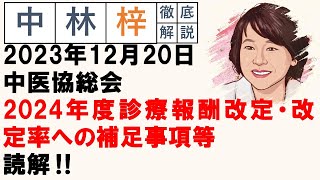 【中林梓】梓の勝手な独り言（2024年度診療報酬改定・改定率への補足事項等） [upl. by Lay17]