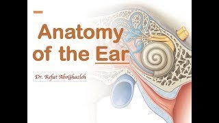 Anatomy of the Ear Full Lecture [upl. by Menken700]