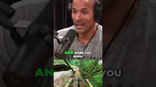 DAVID GOGGINS HAS A HOLE IN HIS HEART [upl. by Boles]