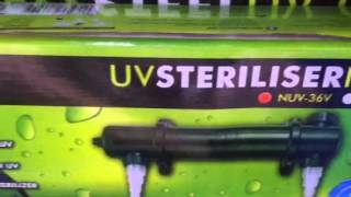 Tips of using uv sterilizers for your aquariums or ponds [upl. by Horter788]