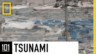 Tsunamis 101  National Geographic [upl. by Park]