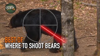 Where to Shoot a Bear  BEST OF HUNTING Compilation [upl. by Enicar]