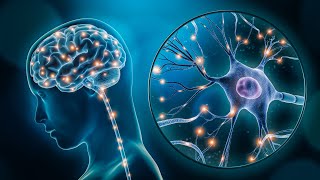 Inhibitory Role of GABA Neurotransmitter in Neuronal Communication 3 Minutes Microlearning [upl. by Pazit]