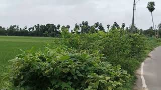 10 Acer agriculture land sale in thiruvallur 7 km [upl. by Weiman861]