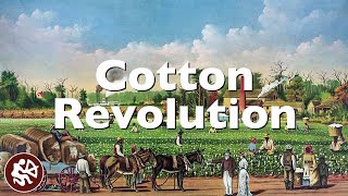 Cotton Revolution during the 1800s  American History Flipped Classroom [upl. by Kilah]