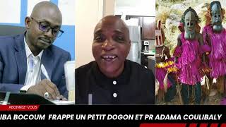 Iba bocoum frappe un petit dogon et Pr Adama Coulibaly [upl. by Pharaoh841]