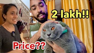 2 ലക്ഷം രൂപക്ക് ഒരു കരിമ്പുലിയെ വാങ്ങി  Surprised my Sister with a CAT [upl. by Ahsilaf]