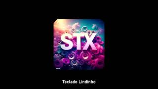 Teclado Lindinho  SyntaxY Remix [upl. by Huntingdon]