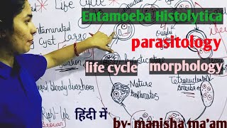 Entamoeba Histolytica  Life Cycle  Morphology  Parasitology By Manisha Maam [upl. by Teodor]