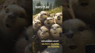 ❗Ein Lemming ist kein Laptop reparatur laptop notebook [upl. by Zela658]