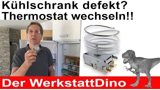 Kühlschrank defekt So wechselst du den Thermostat [upl. by Anneuq]