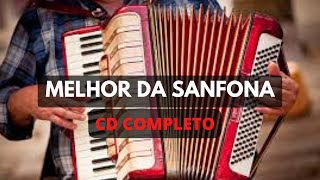 Melhor da sanfona tocador de acordeon cd completo inscrevase forró de concertina [upl. by Ecinad]