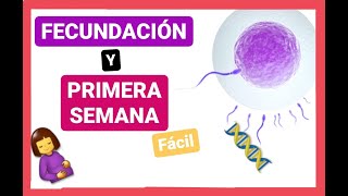 ✅FECUNDACIÓN 1ra SEMANA del DESARROLLO EMBRIONARIO Curso de EMBRIOLOGÍA Humana clase 3 🤰🏼👶🏼 [upl. by Perry]