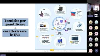 La citometria a flusso convenzionale e Vescicole extracellulari [upl. by Rezzani]