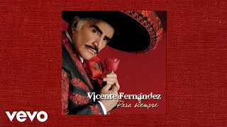 Vicente Fernández  Un Millón de Primaveras Letra  Lyrics [upl. by Nihi229]