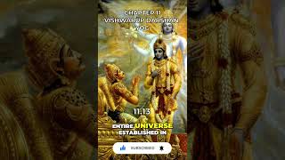 Bhagavad Gita Chapter 11 1113 [upl. by Awad]