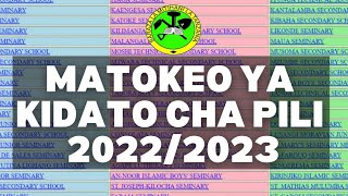 TAZAMA MATOKEO YA KIDATO CHA PILI 2022FORM TWO RESULTS NECTA 202223 [upl. by Riannon]