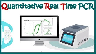 Quantitative real time PCR qPCR [upl. by Lotus]