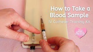 How to take a Blood Sample 🩺👩🏼‍⚕️🐾 Vet Nurse School [upl. by Ylera752]