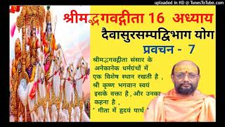 श्रीमद्भगवद्गीता 16 अध्याय N7 Bhagwat Geeta 16 Adhyay स्वामी श्री मोहनानंद गिरि जी महाराज [upl. by Sabanrab949]