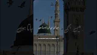 Mere Nabi Ne Farmaya❤❤ New Status [upl. by Merkley]