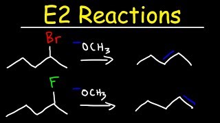 E2 Reaction Mechanism  Hoffman Elimination vs Zaitsevs Rule [upl. by Castorina]