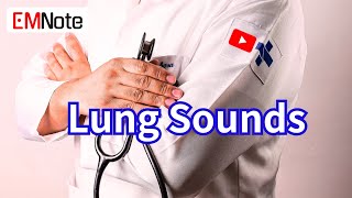 Lung Sounds Breath Sounds [upl. by Alemat]