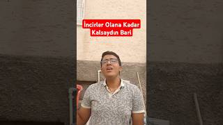 İncirler Olana Kadar Kalsaydın Bariilyasyalçıntaşincir muzik şarkı [upl. by Drofnas]