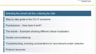 Immunocytochemistry ICC principles and troubleshooting [upl. by Ezaria660]