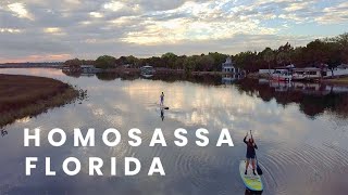 Homosassa Springs Drone Footage [upl. by Mozza963]