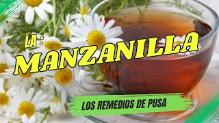 LOS GRANDES NUTRICIONISTA REVELAN LOS MARAVILLOSO BENEFIOCIO DE EL TE DE MANZANILLA [upl. by Naujal736]