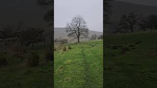 Haslingden Lancashire music haslingden lancashire nature walking misty punkatit [upl. by Ahsita]