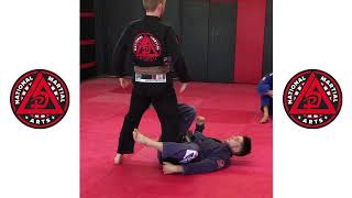 Michael South BJJ Seminar Standing Berimbolo [upl. by Girand]