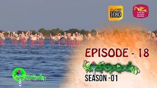 Sobadhara  Season  01  Episode 18  Sobadhara Rupavahini [upl. by Abijah198]