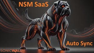 NSM  Auto Sync [upl. by Atimad]