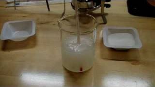 Synthesis of Potassium Nitrate [upl. by Margarethe]