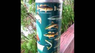 1950s Aladdin Angler Thermos Bottle [upl. by Ahsiyn]